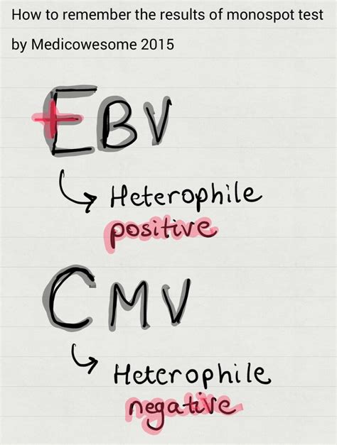 Heterophile antibody test